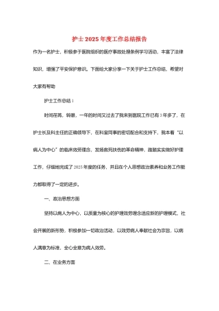 护士2025年度工作总结报告