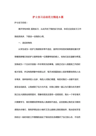 护士实习总结范文精选5篇