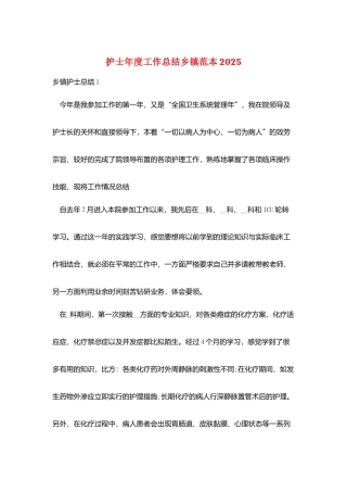 护士年度工作总结乡镇范本2025