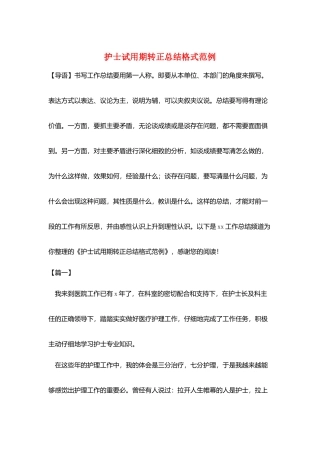 护士试用期转正总结格式范例