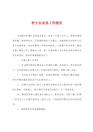 护士长业务工作报告