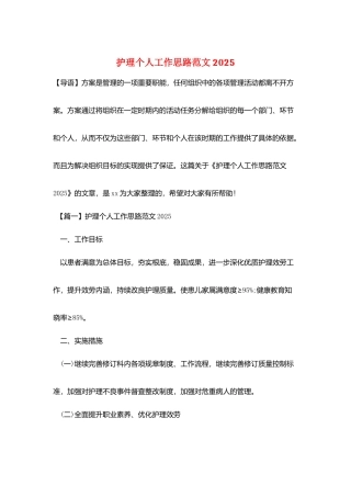 护理个人工作思路范文20252