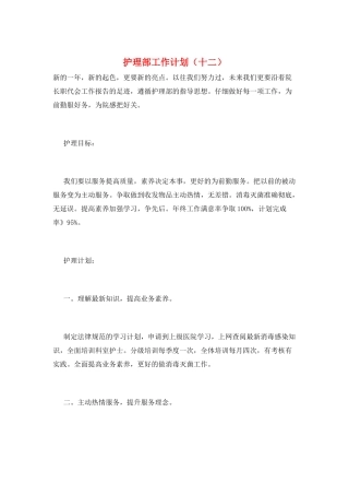 护理部工作计划(十二)