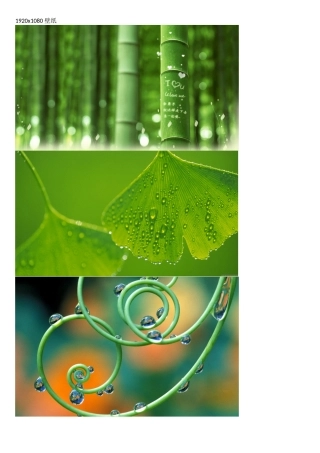 护眼类型电脑壁纸1