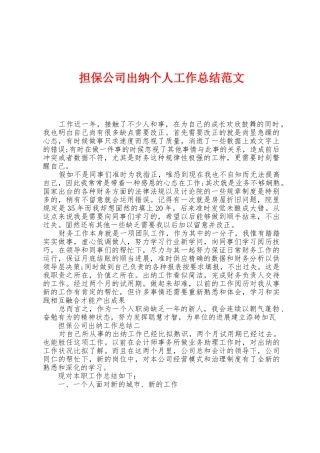 担保公司出纳个人工作总结范文