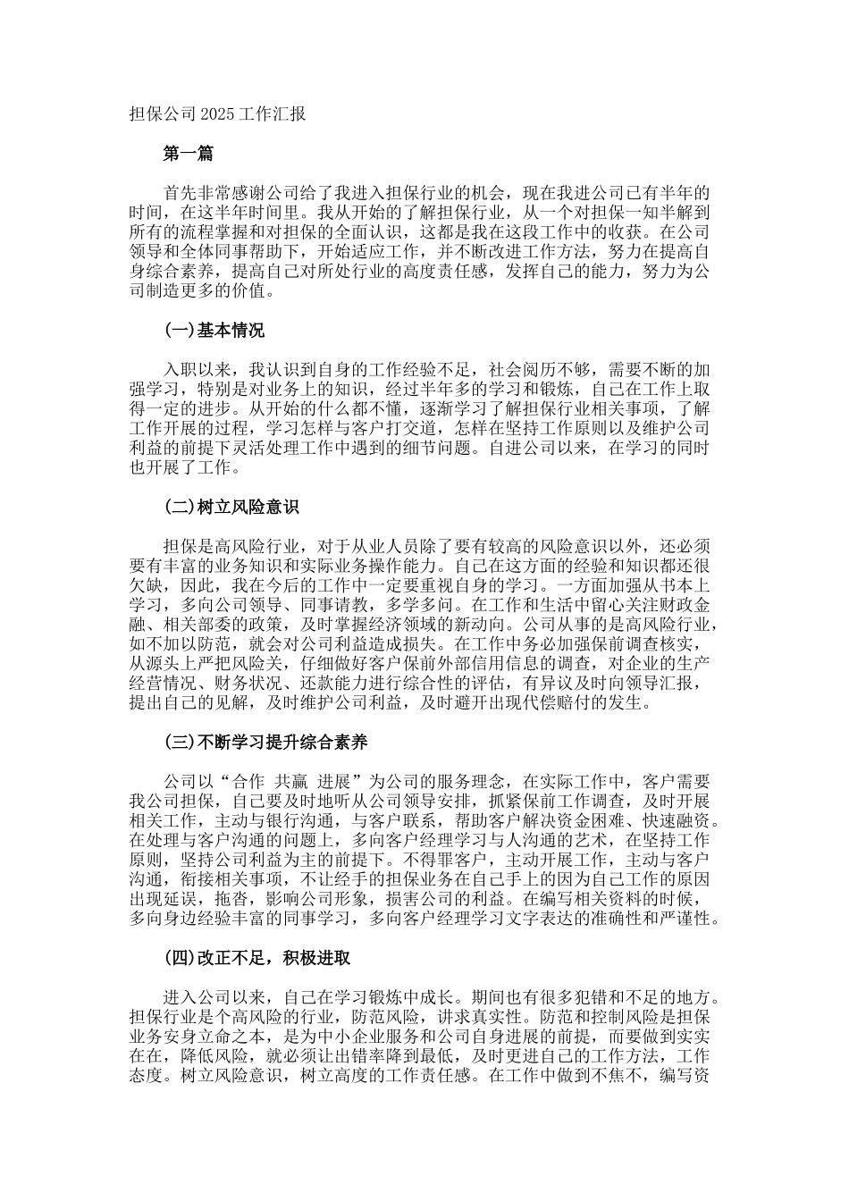 担保公司工作汇报_第1页