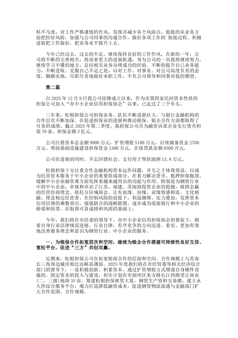 担保公司工作汇报_第2页