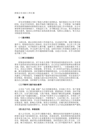 担保公司工作汇报