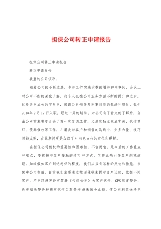 担保公司转正申请报告