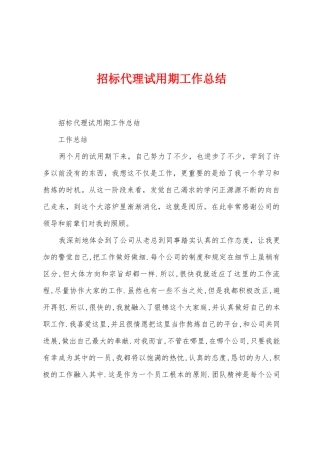 招标代理试用期工作总结