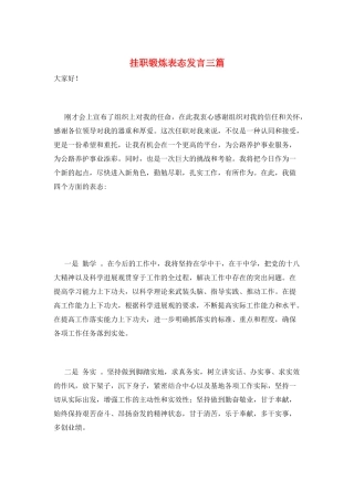 挂职锻炼表态发言三篇