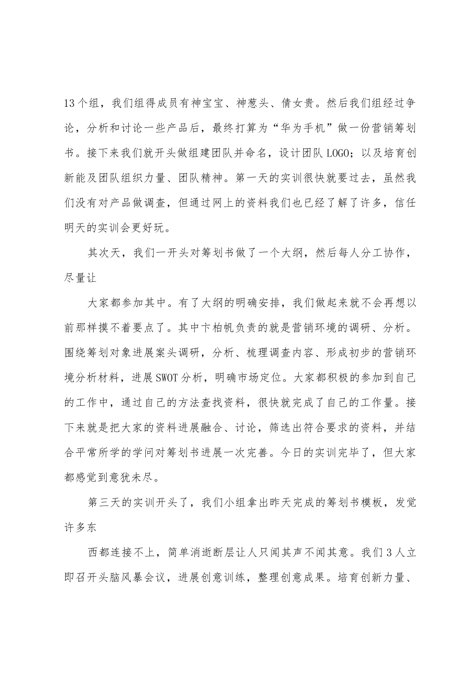 捷敏营销策划综训总结_第3页