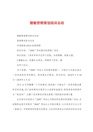 捷敏营销策划综训总结