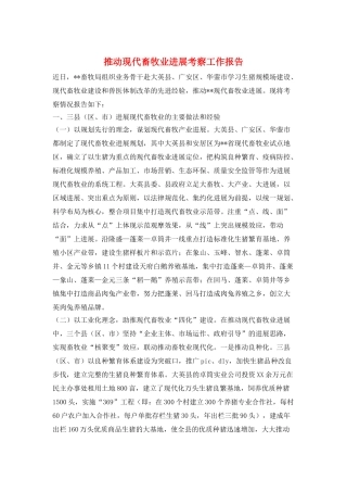 推进现代畜牧业发展考察工作报告