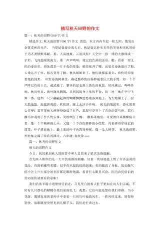 描写秋天田野的作文