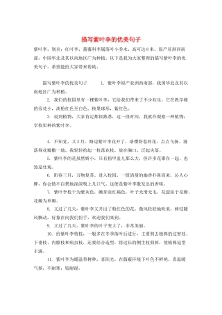 描写紫叶李的优美句子