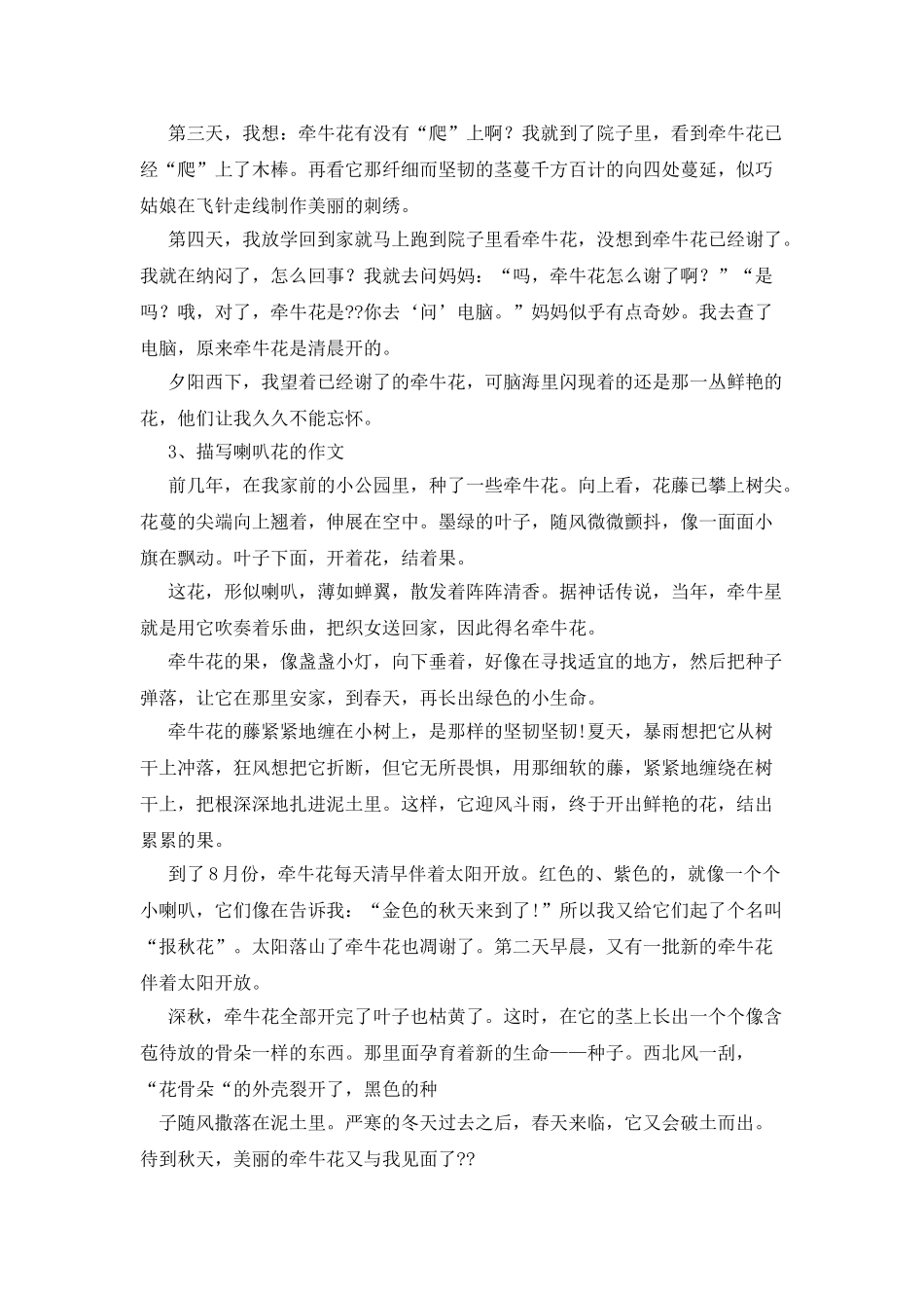 描写红掌花的作文_第2页