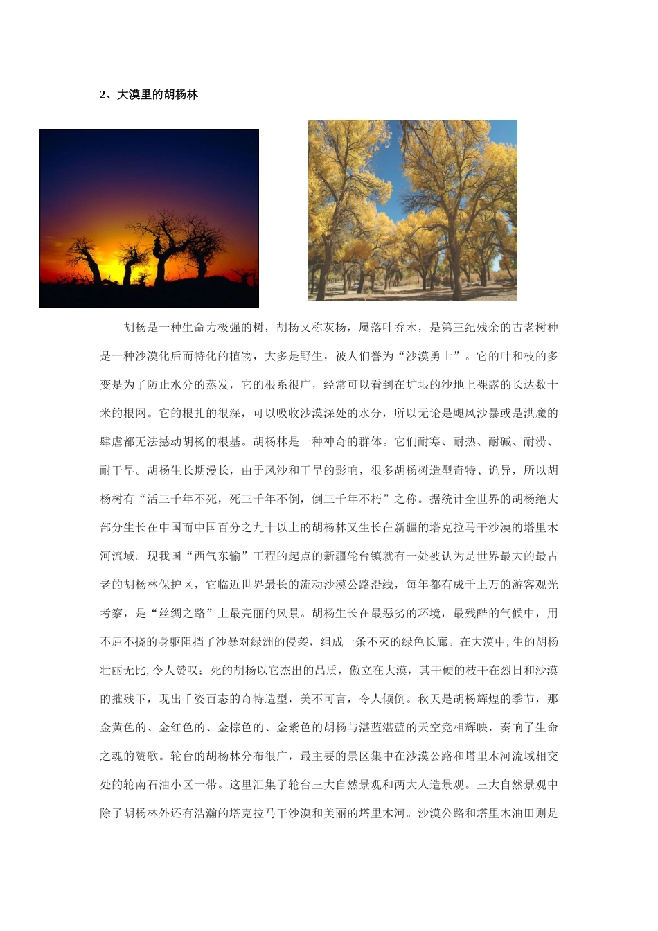 高中地理：地理环境的差异性素材 鲁教版必修1_第2页