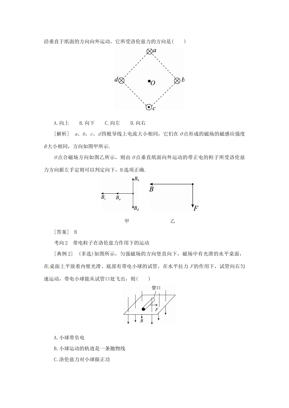 高考物理一轮复习 专题 磁场对运动电荷的作用导学案2-人教版高三全册物理学案_第3页
