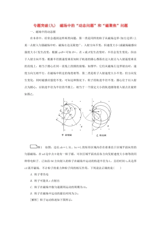 高考物理一轮复习 专题突破（九）磁场中的“动态问题”和“磁聚焦”问题学案-人教版高三全册物理学案