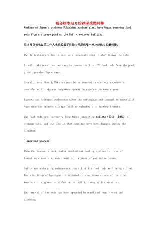 高考英语 考前突破阅读理解能力 福岛核电站开始移除核燃料棒素材