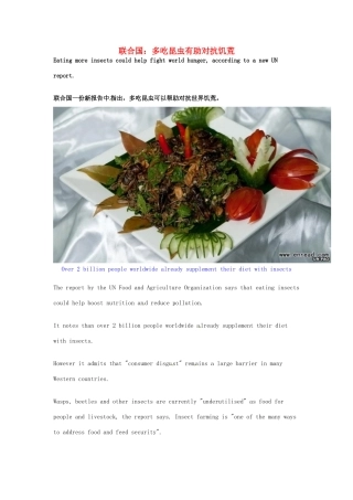 高考英语 考前突破阅读理解能力 社会生活 联合国：多吃昆虫有助对抗饥荒素材