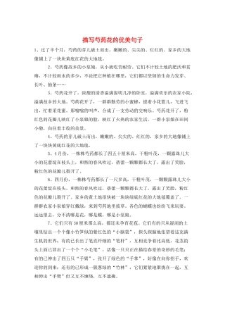 描写芍药花的优美句子