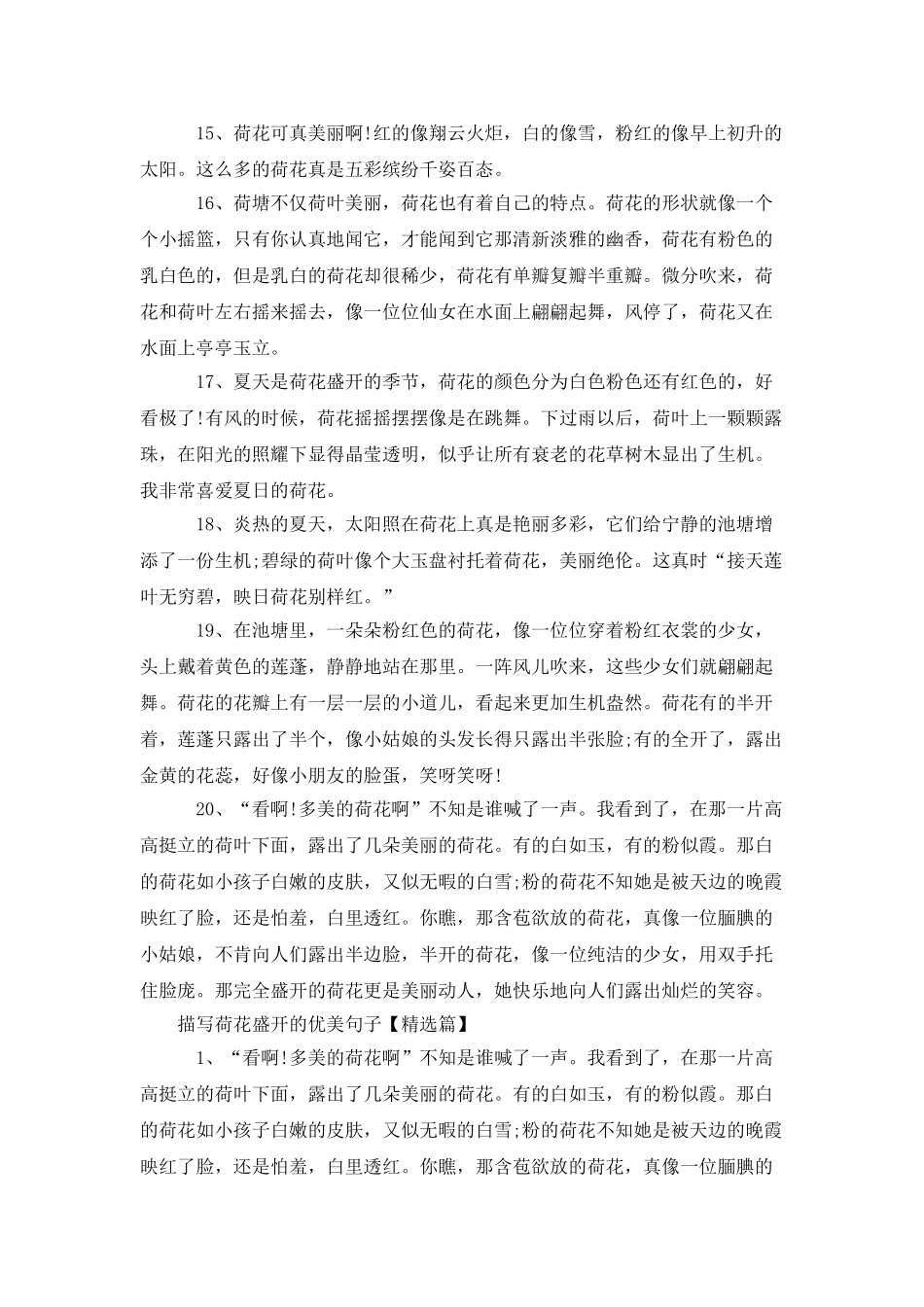 描写荷花盛开的优美句子_第3页