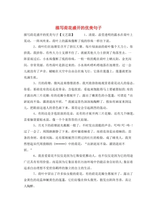 描写荷花盛开的优美句子