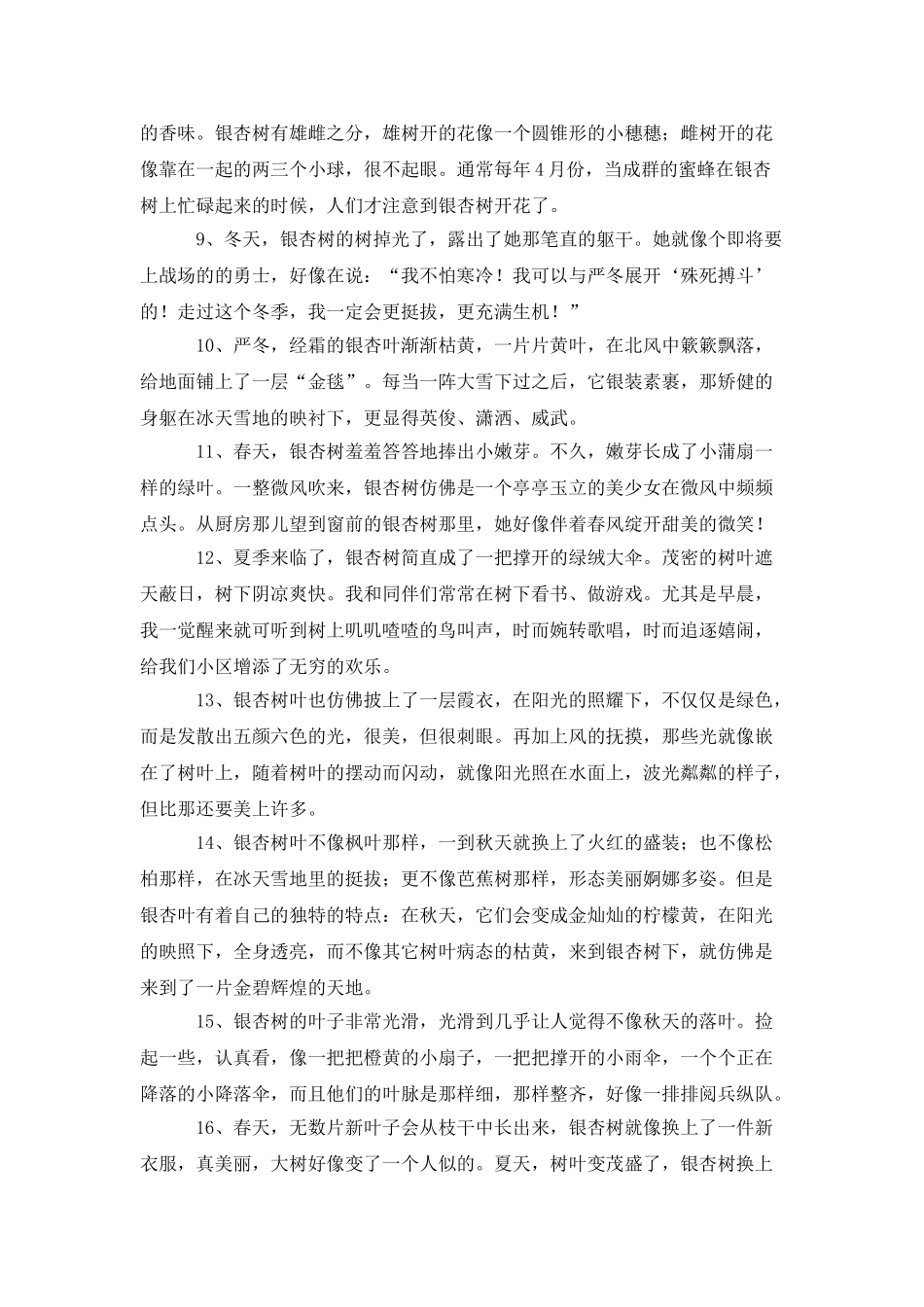 描写银杏树的优美句子_第2页