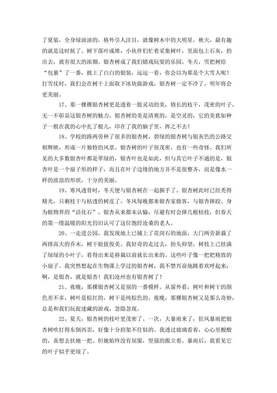 描写银杏树的优美句子_第3页