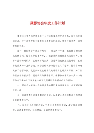 摄影协会年度工作计划