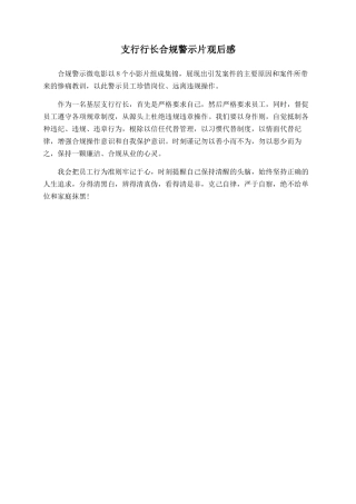 支行行长合规警示片观后感