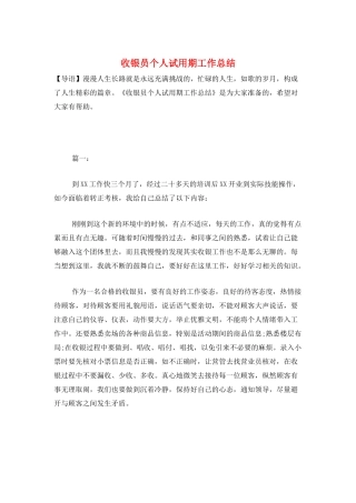 收银员个人试用期工作总结
