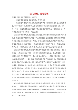 放飞理想-青春无悔