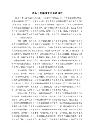 政务公开年度工作总结2025