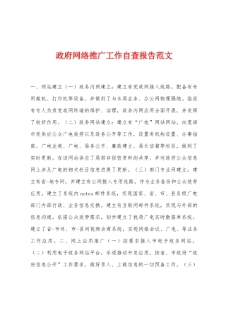 政府网络推广工作自查报告