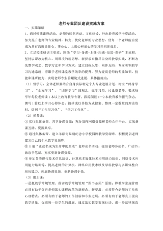 教师专业团队建设实施方案