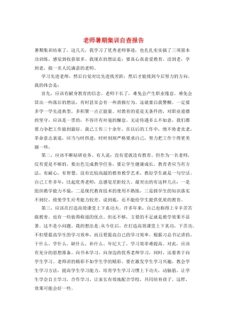 教师暑期集训自查报告