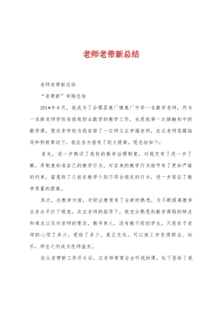 教师老带新总结