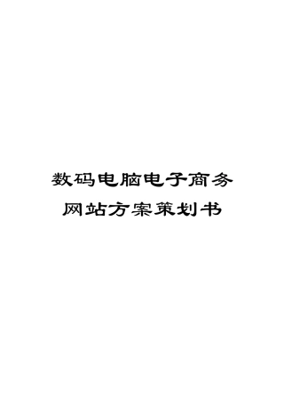 数码电脑电子商务网站方案策划书模板