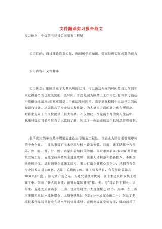文件翻译实习报告范文