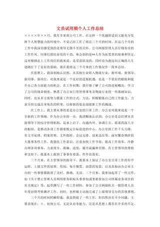 文员试用期个人工作总结