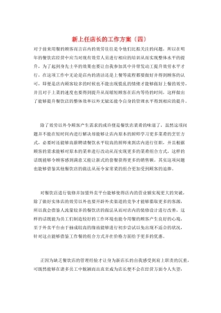 新上任店长的工作计划