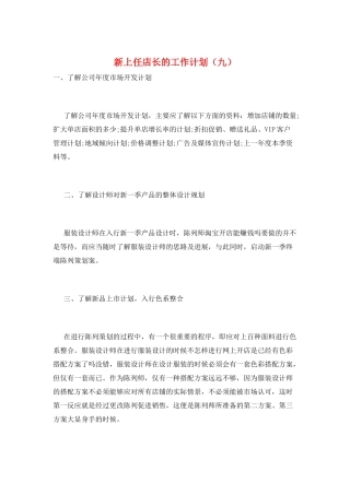 新上任店长的工作计划(九)