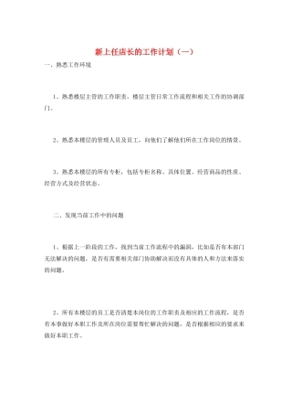 新上任店长的工作计划(一)