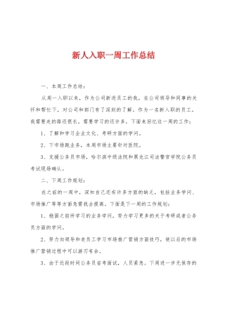 新人入职一周工作总结