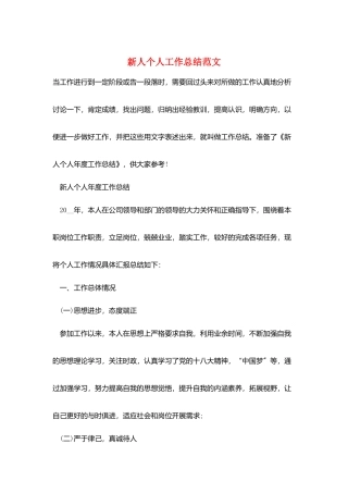 新人个人工作总结范文