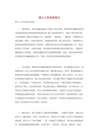 新人工作总结范文