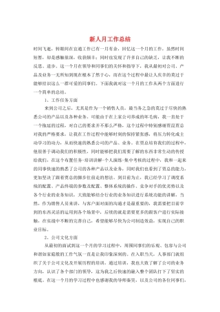 新人月工作总结